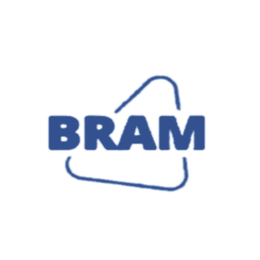 Image for BRAM